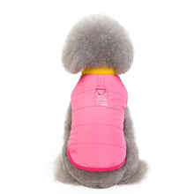 Load image into Gallery viewer, Fashion Cool Dog Sweater Fall Pet Coat Harness
