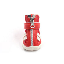 Load image into Gallery viewer, Lovoyager New Design casual paw print pet shoes for Tea Cup Dog
