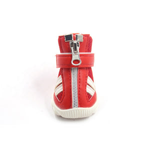 Lovoyager New Design casual paw print pet shoes for Tea Cup Dog