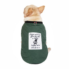 Load image into Gallery viewer, Waterproof Windcheater Fashion Cool Dog
